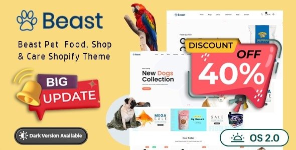 Shopify Theme